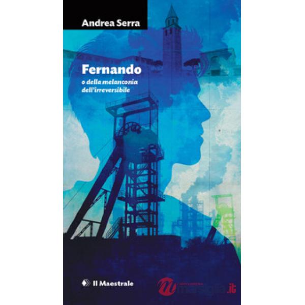 Fernando o della melanconia dell'irreversibile