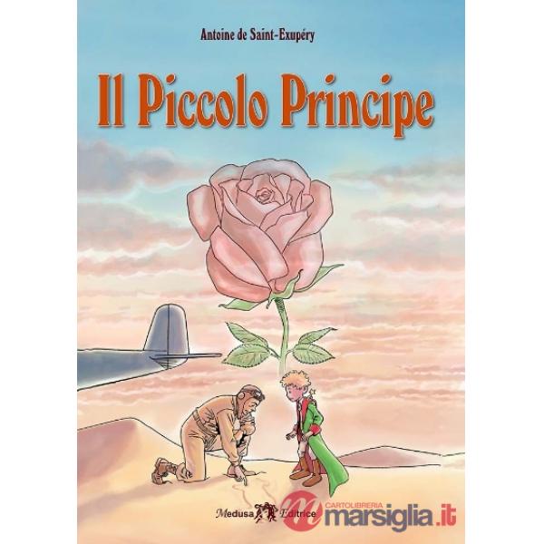 PICCOLO PRINCIPE (IL)