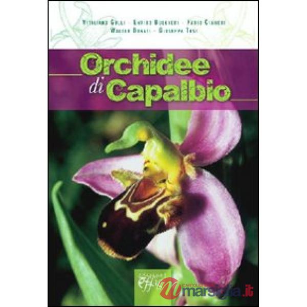 Orchidee di Capalbio