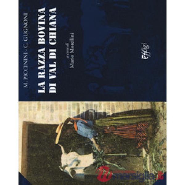 La razza bovina di Val di Chiana