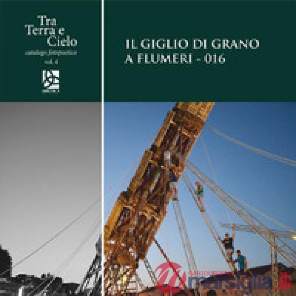 Giglio di grano a Flumeri-016 (Il)