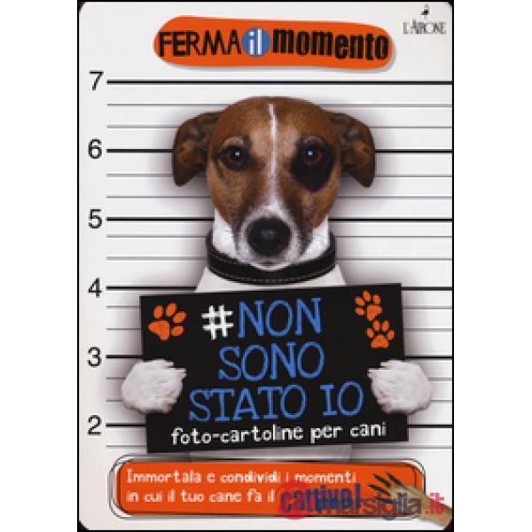Non sono stato io. Foto-cartoline per cani