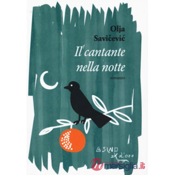 Cantante nella notte (Il)