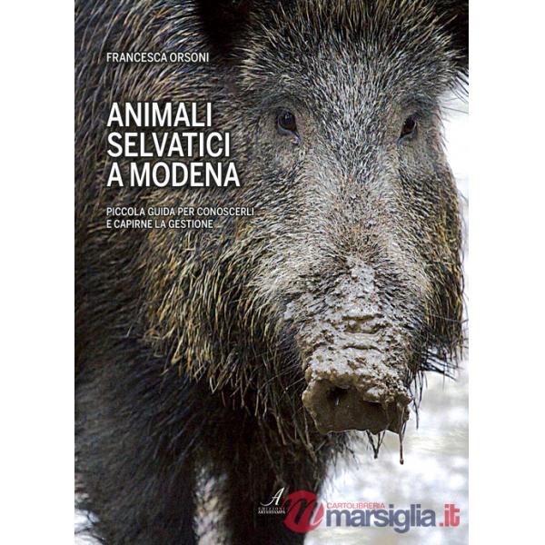 Animali selvatici a Modena. Piccola guida per conoscerli e capirne la gestione