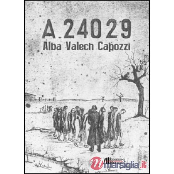 A-24029