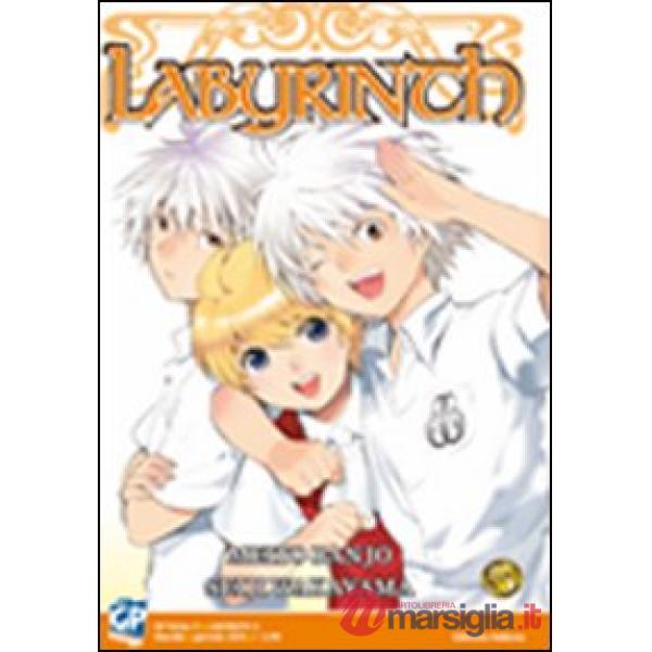 Labyrinth. Vol. 5