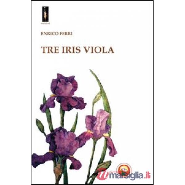 Tre iris viola