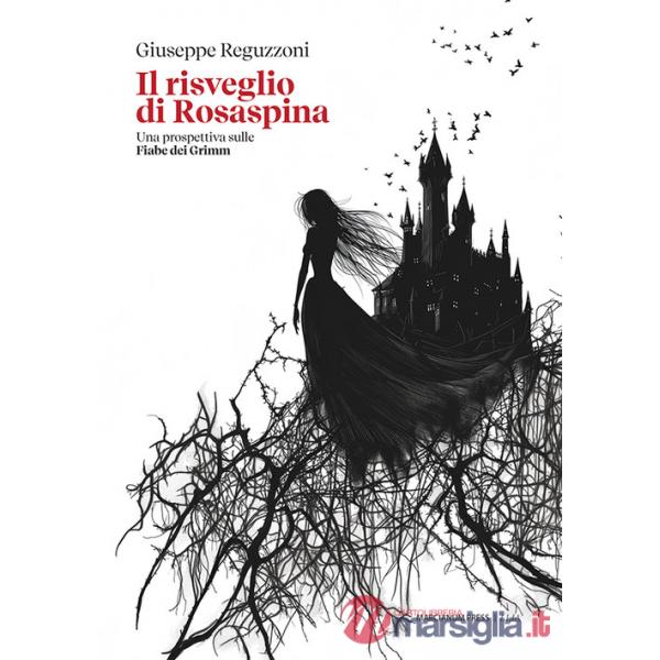 Risveglio di Rosaspina. Una prospettiva sulle Fiabe dei Grimm (Il)
