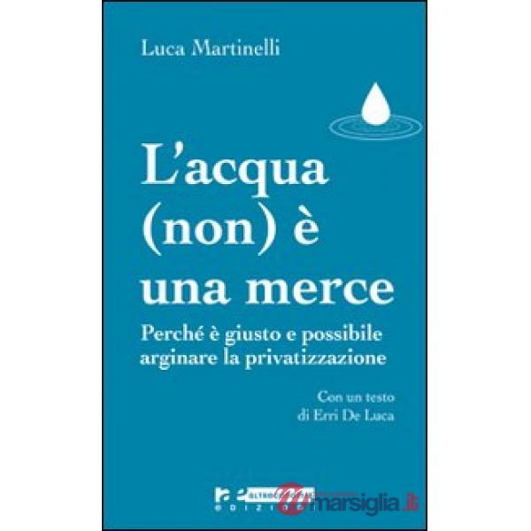 Acqua (non) è una merce. Perché è giusto e possibile arginare la privatizzazione