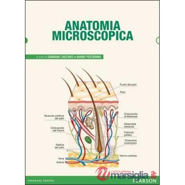 ANATOMIA MICROSCOPICA