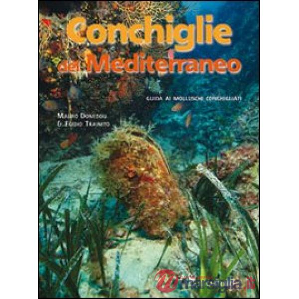 Conchiglie del Mediterraneo. Ediz. illustrata