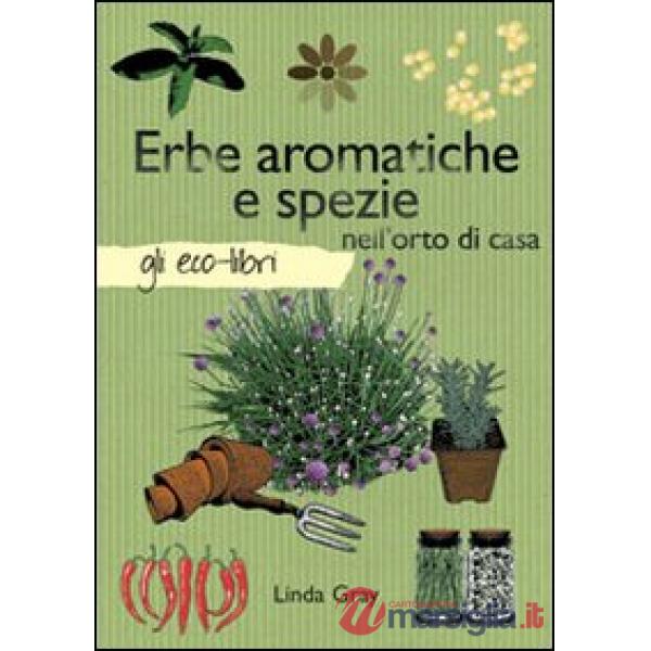 Erbe aromatiche e spezie nell'orto