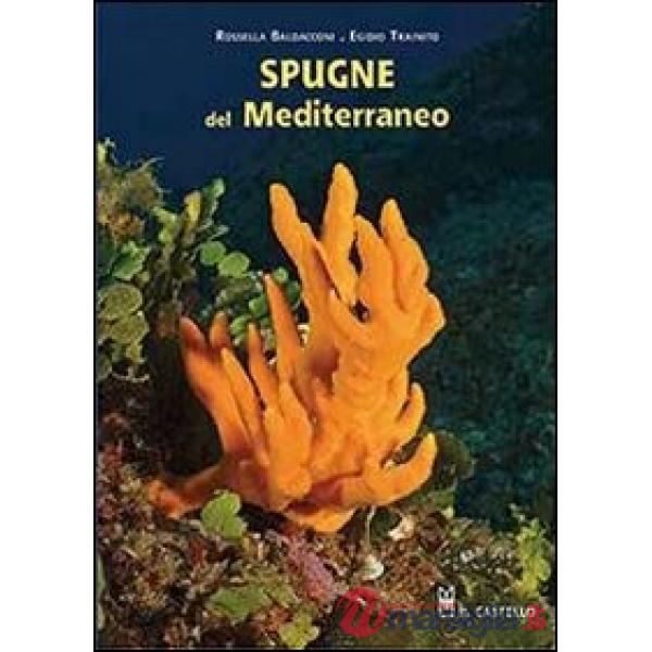 Spugne del Mediterraneo. Ediz. illustrata