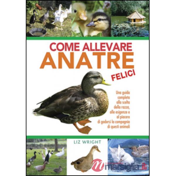 Come allevare anatre felici