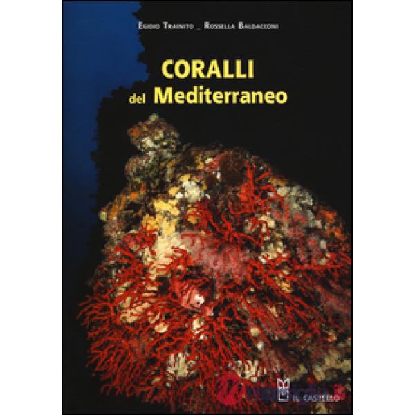 Coralli del Mediterraneo