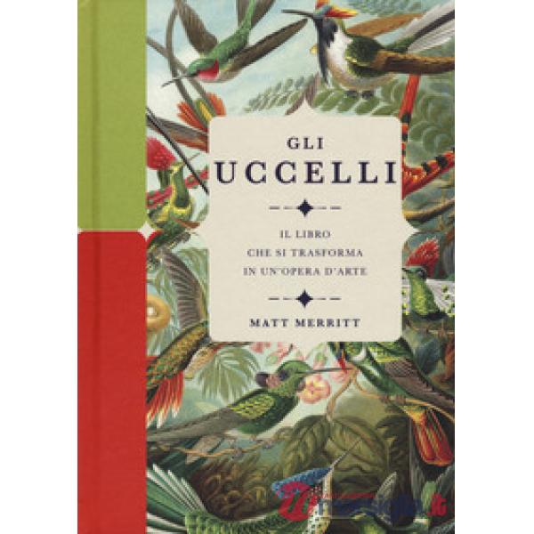 Uccelli. Il libro che si trasforma in un'opera d'arte. Ediz. a colori (Gli)