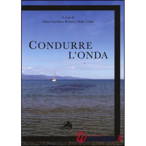 Condurre l'onda. Vivere con il disturbo bipolare