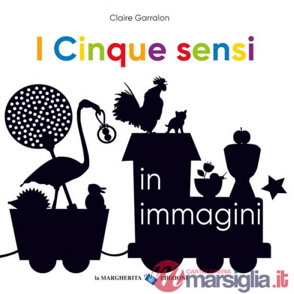 Cinque sensi in immagini. Ediz. a colori (I)