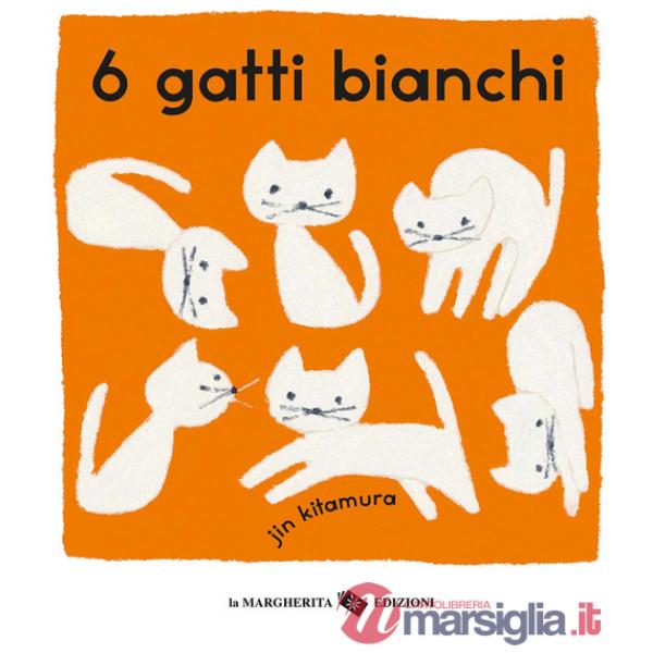 6 gatti bianchi