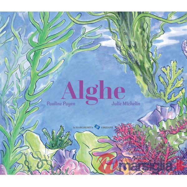 Alghe