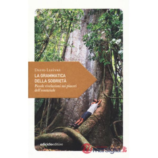 Grammatica della sobrietà. Piccole rivelazioni sui piaceri dell'essenziale (La)