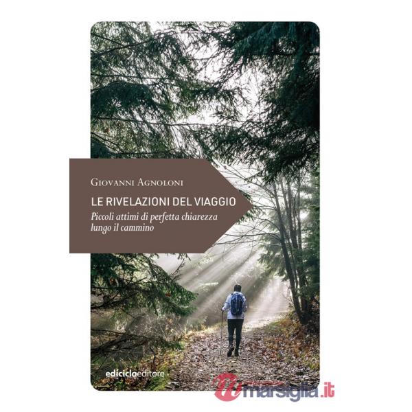 Rivelazioni del viaggio. Piccoli attimi di perfetta chiarezza lungo il cammino (Le)