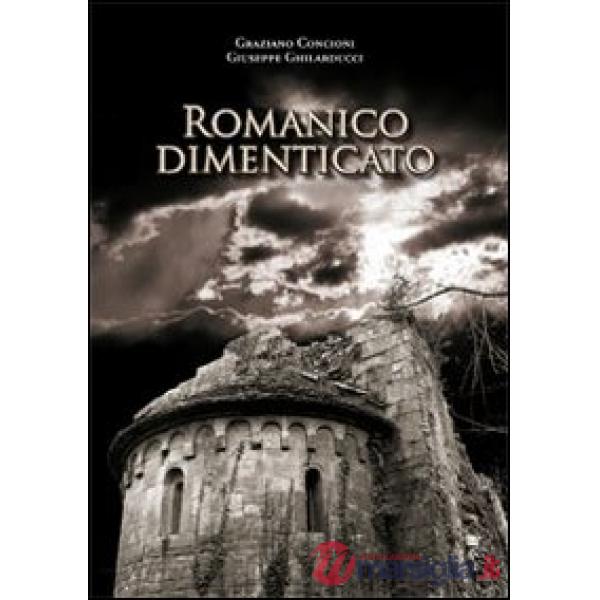 Romanico dimenticato. Documenti fotografici e schede descrittive di dodici chiese medioevalii della diocesi di Lucca