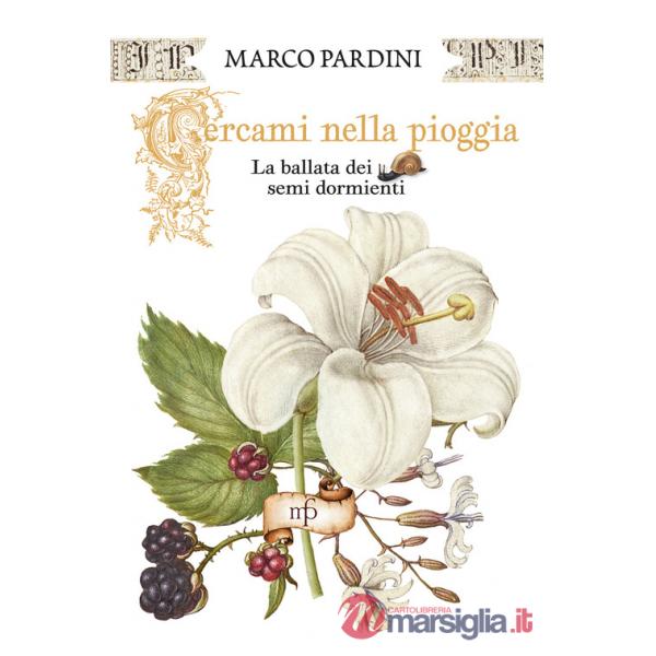 Cercami nella pioggia. La ballata dei semi dormienti