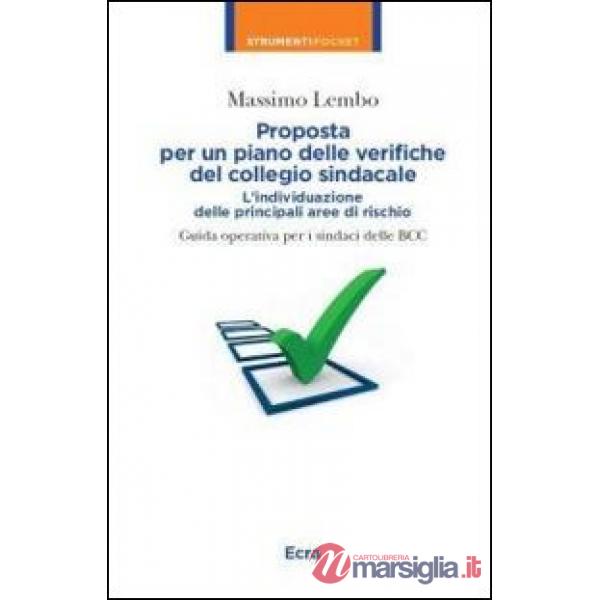 Proposta per un piano delle verifiche del collegio sindacale