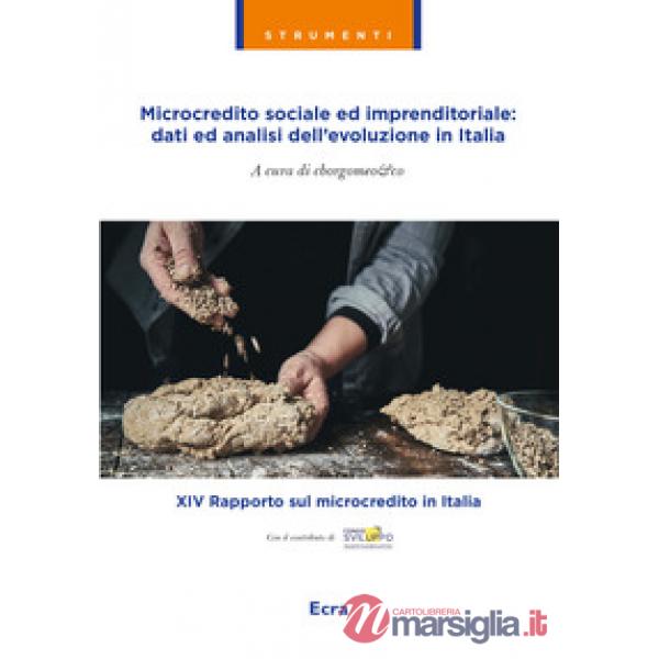 Microcredito sociale ed imprenditoriale: dati analisi dell'evoluzione in Italia