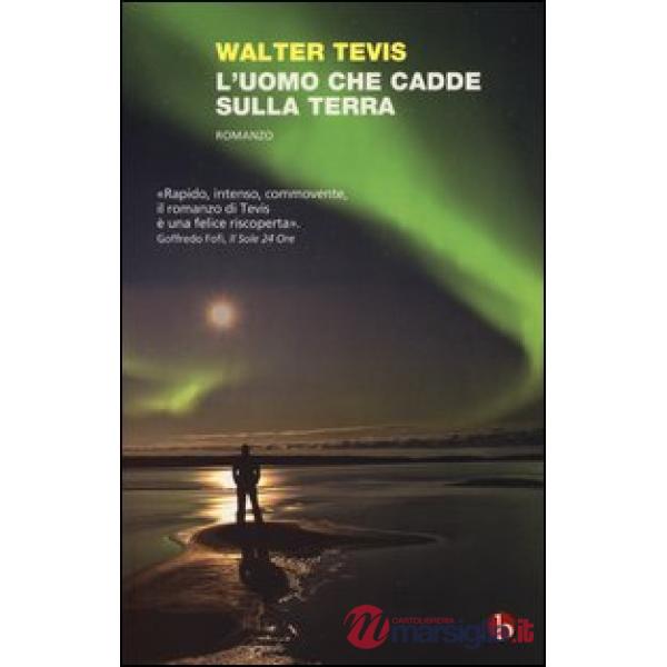 Uomo che cadde sulla terra (L')