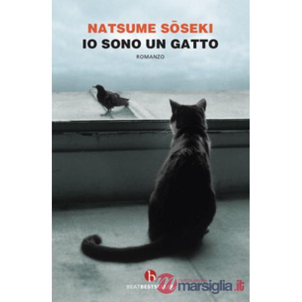 Io sono un gatto