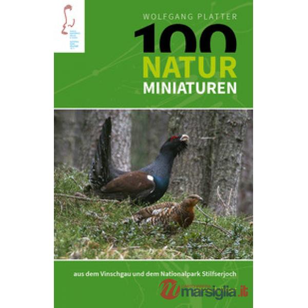 100 naturminiaturen aus dem Vinschgau und dem Nationalpark Silfserjoch