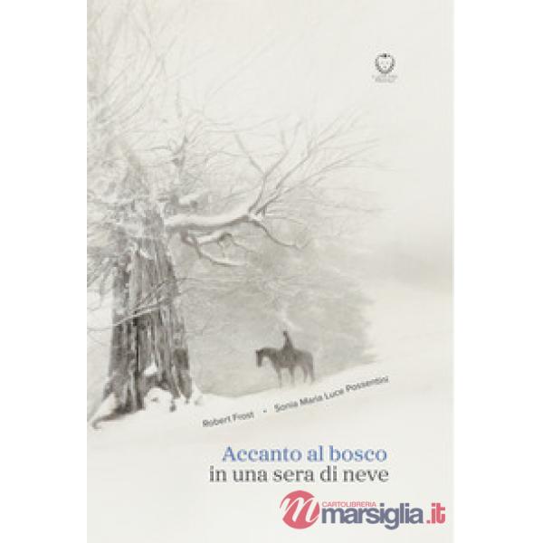 Accanto al bosco in una sera di neve