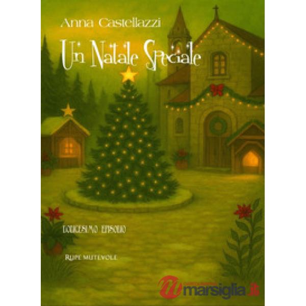 Natale speciale (Un)