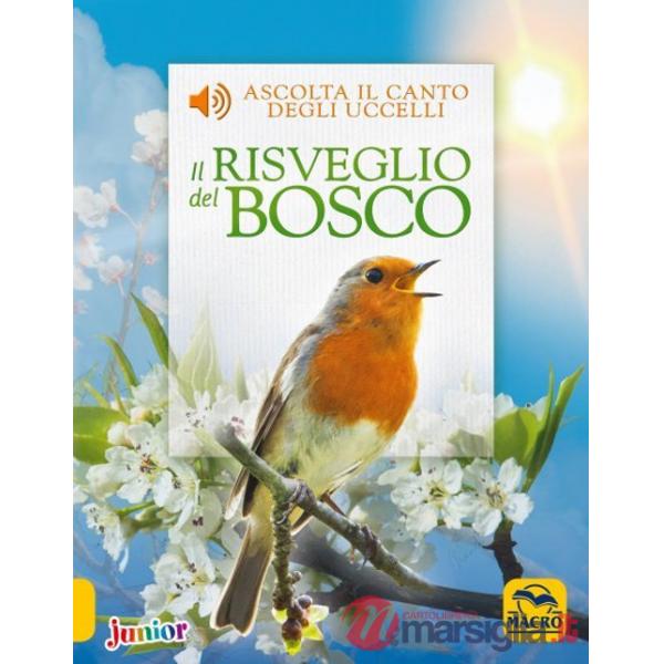 Risveglio del bosco. Ediz. a colori (Il)