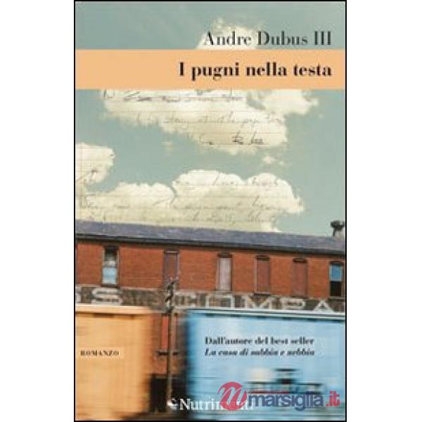 Pugni nella testa. Storia di un'adolescenza (I)