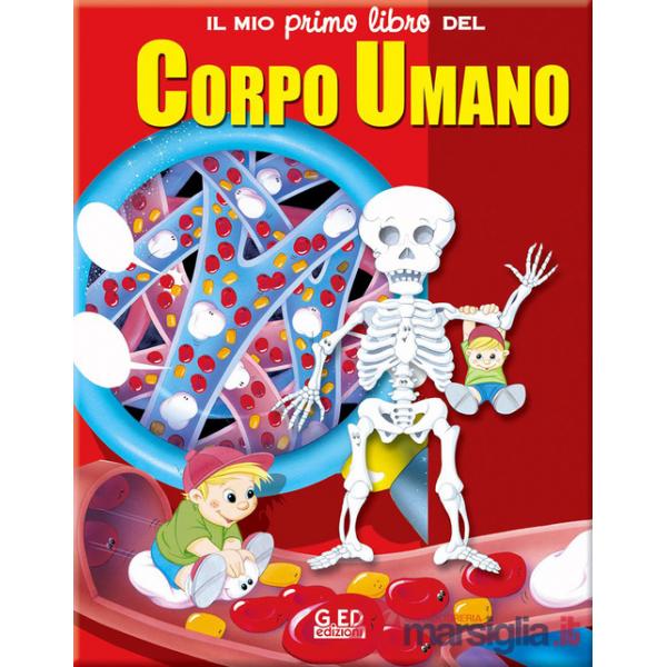 Mio primo libro del corpo umano. Ediz. illustrata (Il)