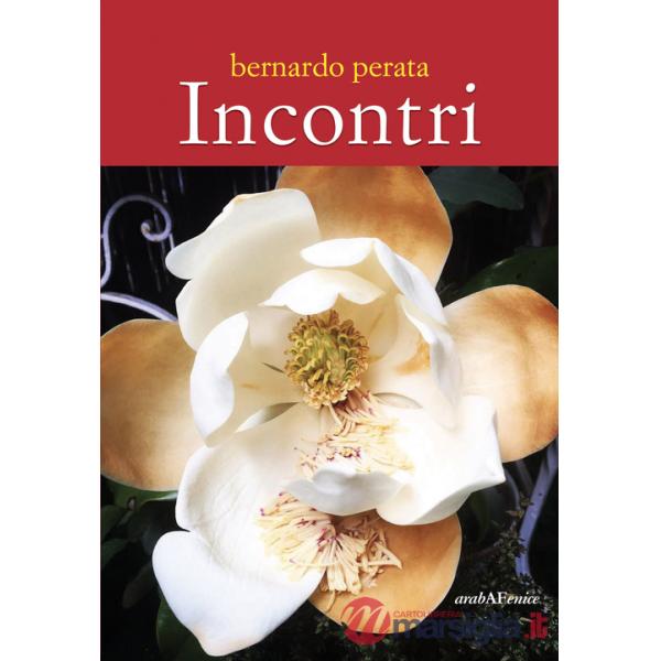 Incontri