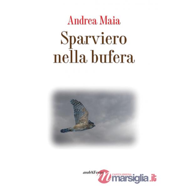 Sparviero nella bufera