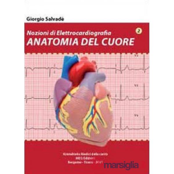 Nozioni di elettrocardiografia. Anatomia del cuore