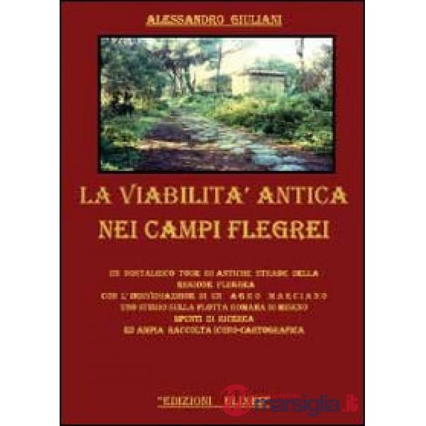 Viabilità antica nei campi Flegrei (La)