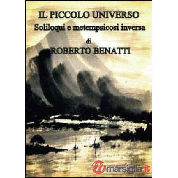 Piccolo universo (Il)