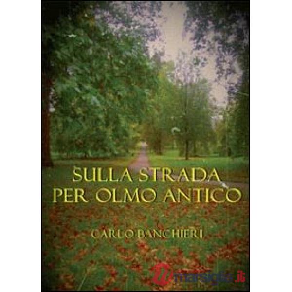 Sulla strada per Olmo Antico