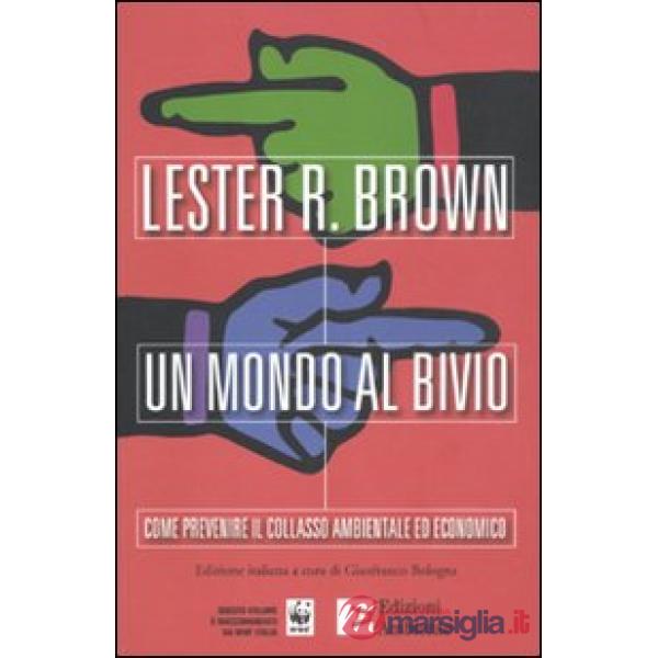 Mondo al bivio. Come prevenire il collasso ambientale ed economico (Un)