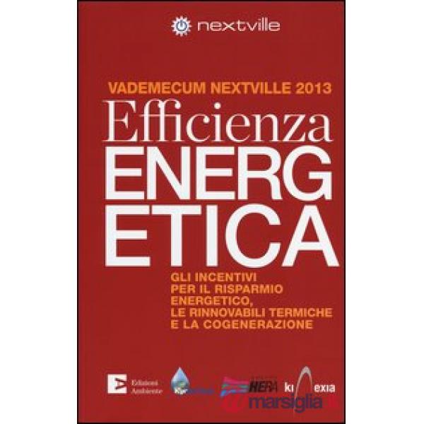 Efficienza energetica. Gli incentivi per il risparmio energetico, le rinnovabili termiche e la cogenerazione. Vademecum Nextvill