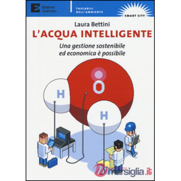 Acqua intelligente. Una gestione sostenibile ed economica è possibile (L')
