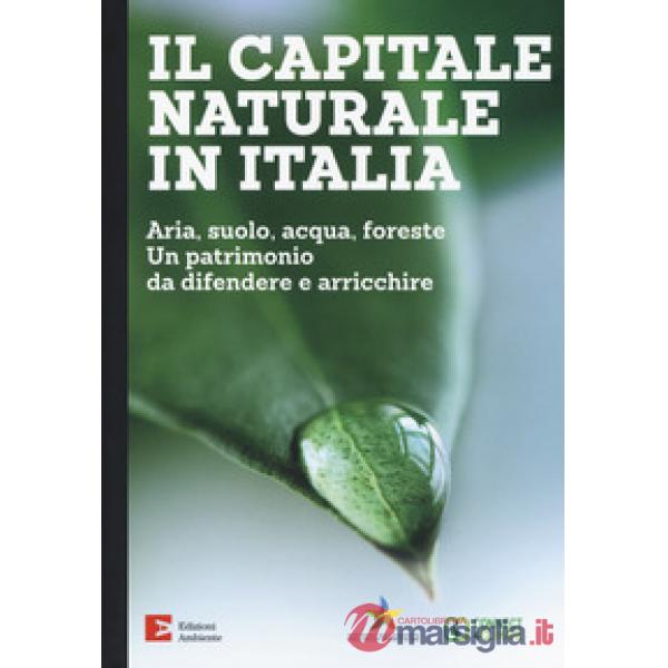 Capitale naturale in Italia. Aria, suolo, acqua, foreste. Un patrimonio da difendere e arricchire (Il)