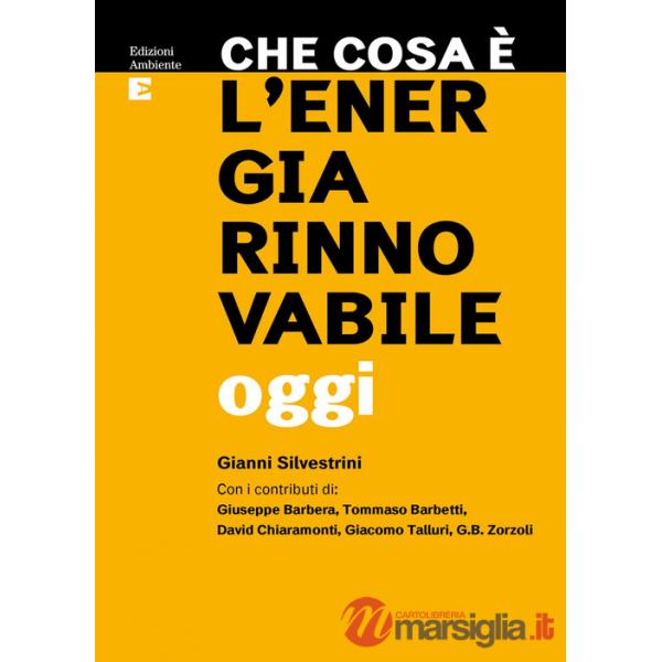 Che cosa è l'energia rinnovabile oggi