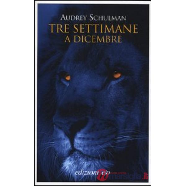 Tre settimane a dicembre